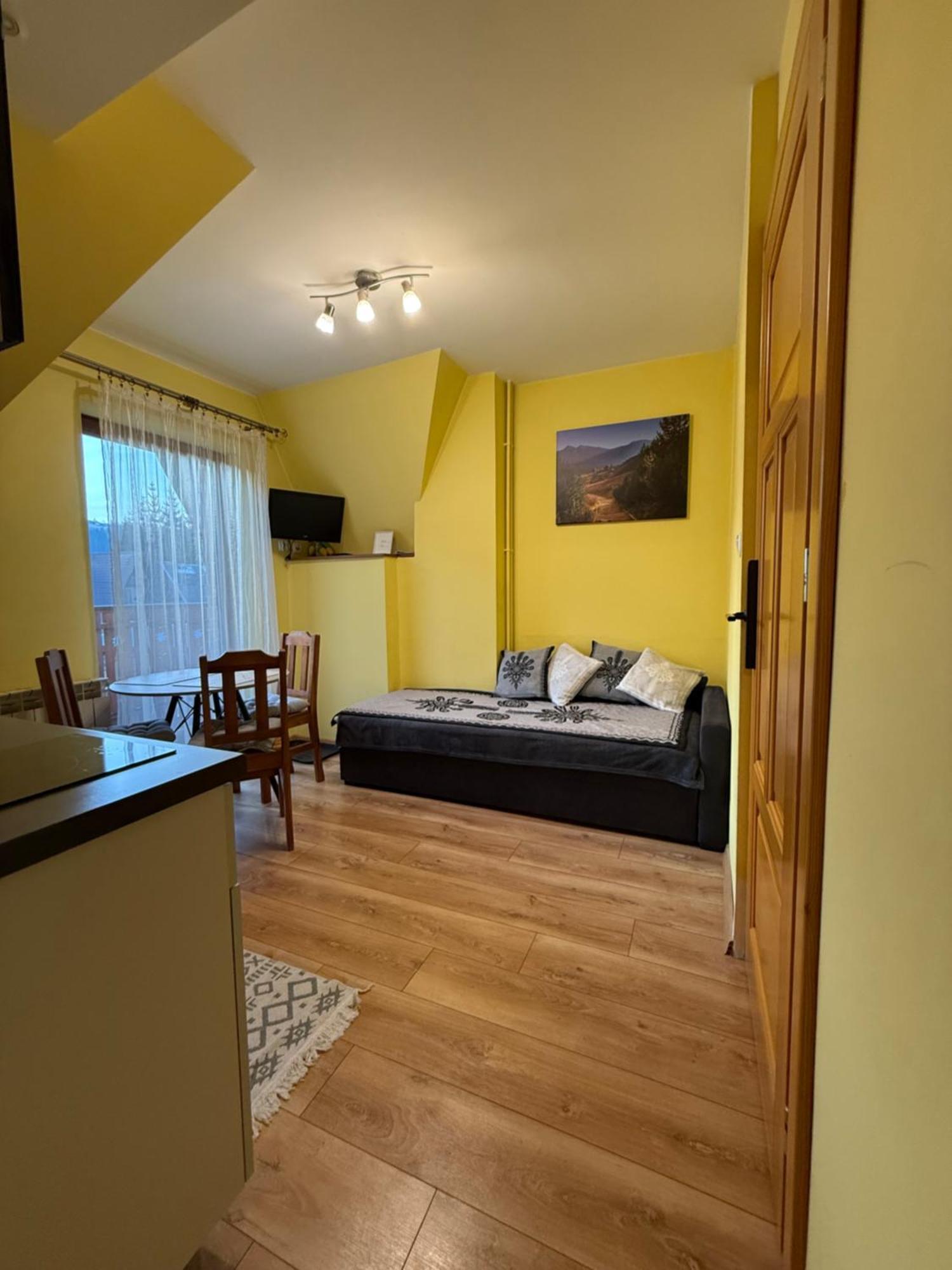 Apartamenty Nad Potokiem Aneta Burliga Zakopane Exterior photo